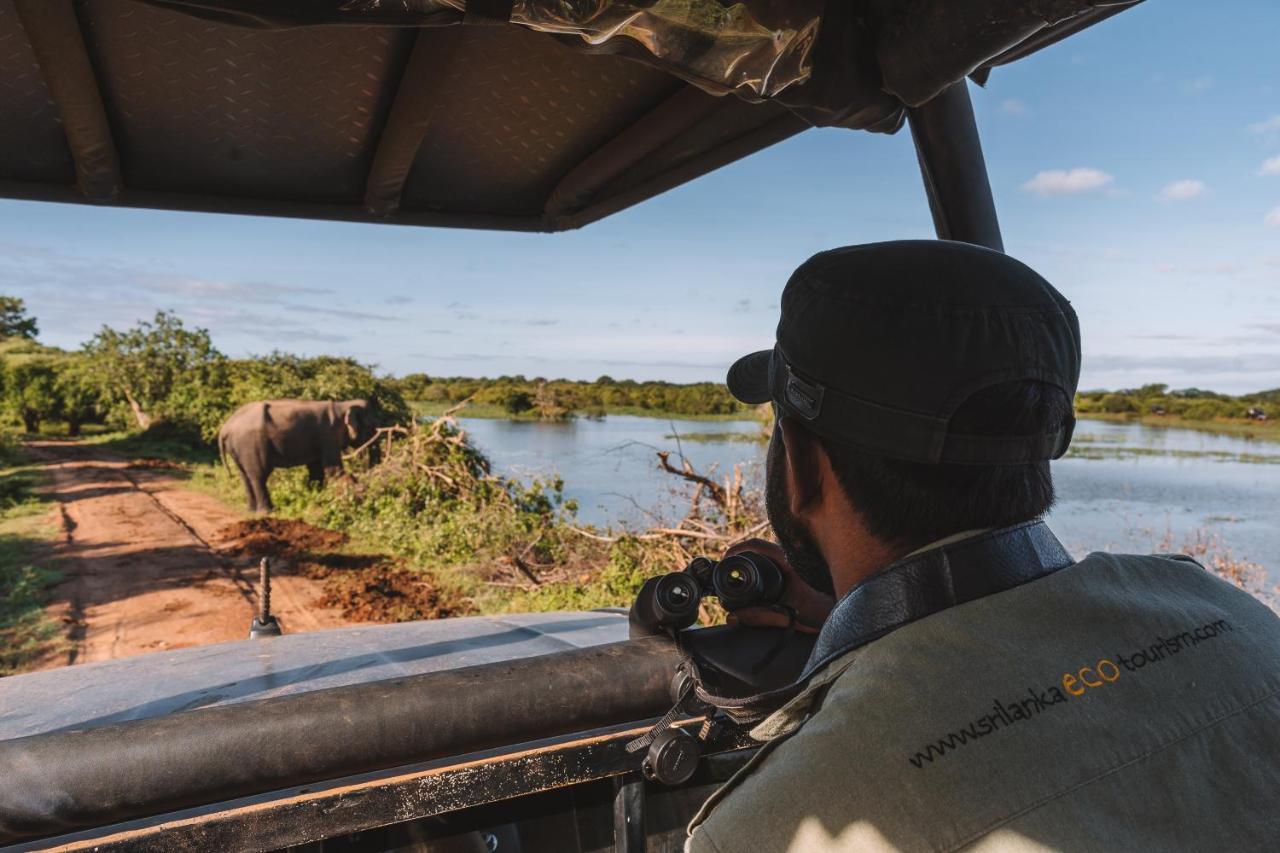 Hotel Big Game - Wilpattu By Eco Team Exteriér fotografie