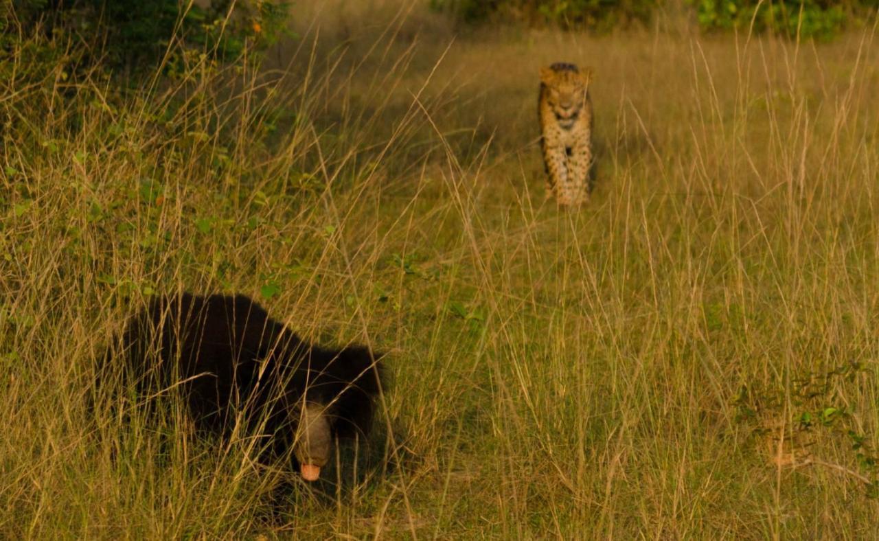 Hotel Big Game - Wilpattu By Eco Team Exteriér fotografie