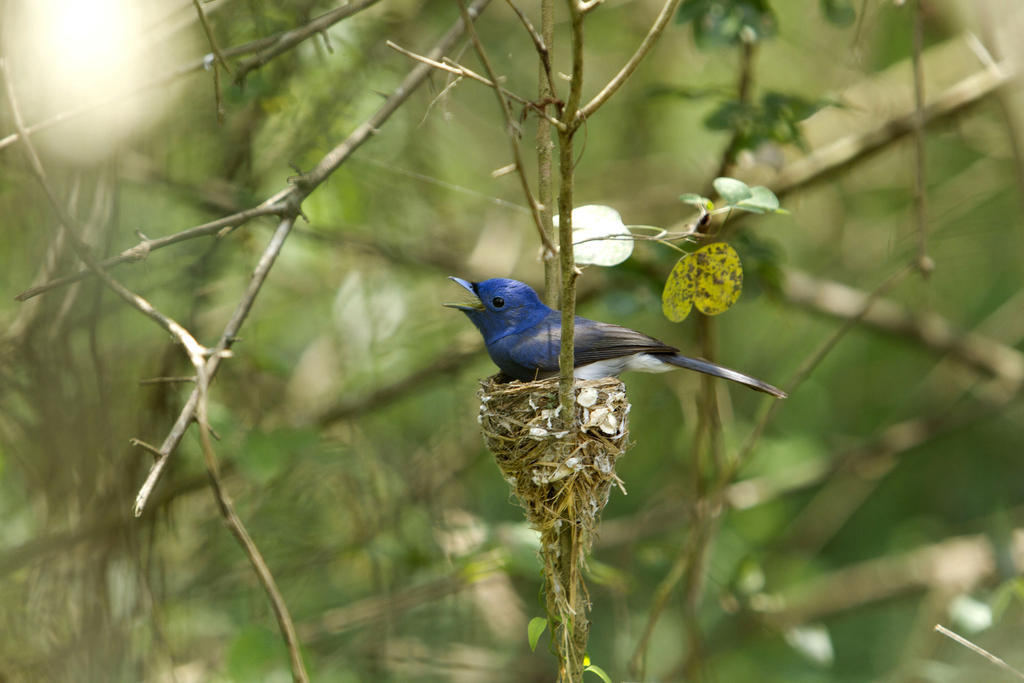 Hotel Big Game - Wilpattu By Eco Team Exteriér fotografie