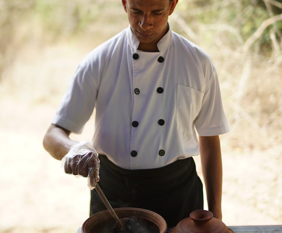 Hotel Big Game - Wilpattu By Eco Team Exteriér fotografie